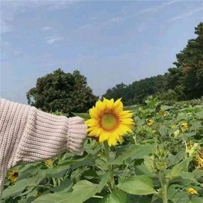 商道高手体验服下载