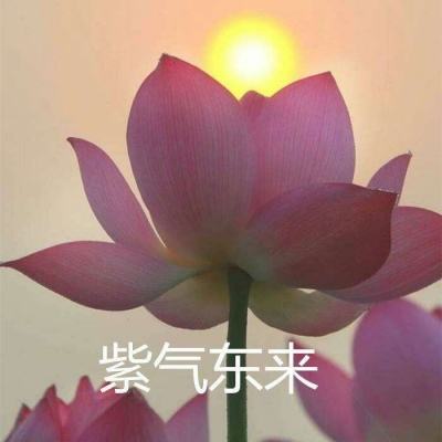 热火传奇手机版下载